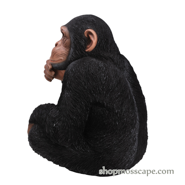 Knee Up Chimpanzee