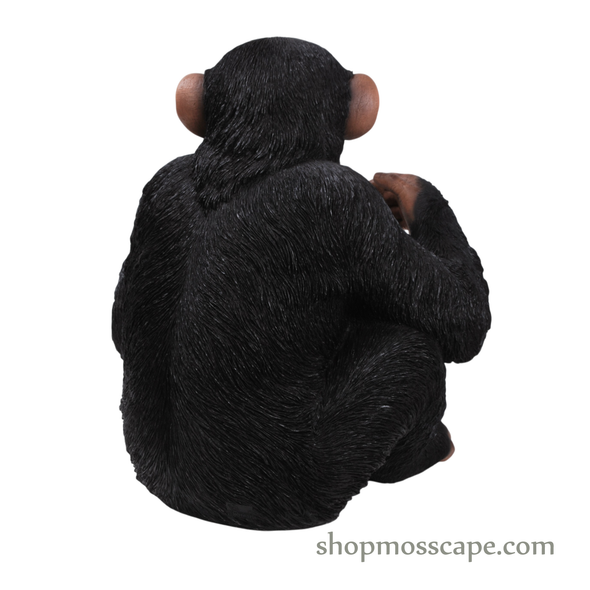 Knee Up Chimpanzee