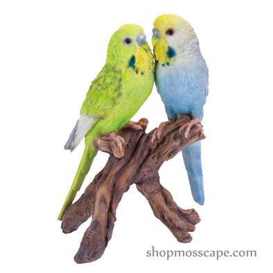 Lovebird Parrots on Stump
