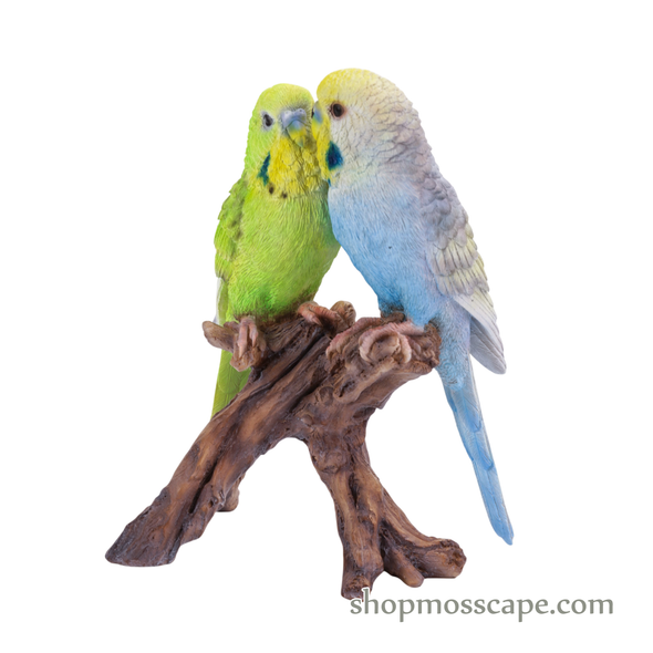 Lovebird Parrots on Stump