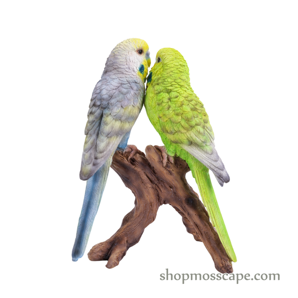 Lovebird Parrots on Stump