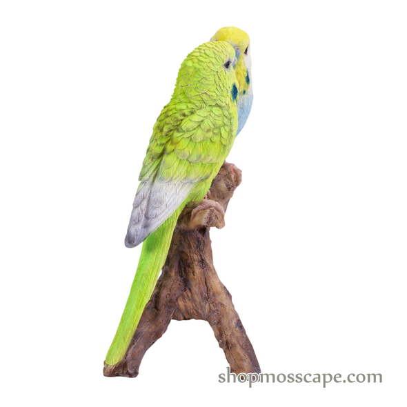 Lovebird Parrots on Stump