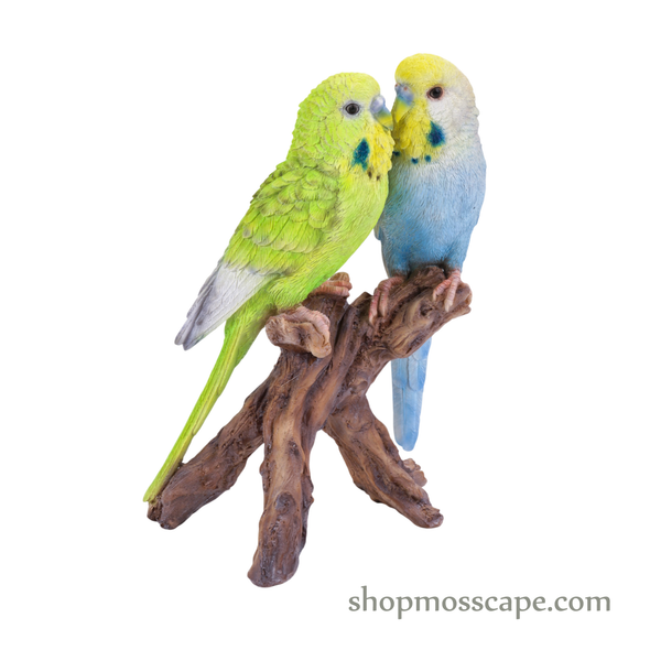 Lovebird Parrots on Stump