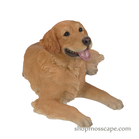 Lying Golden Retriever