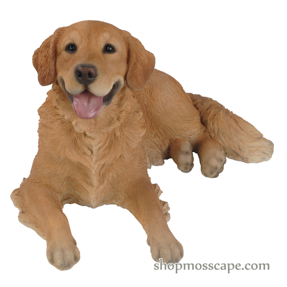 Lying Golden Retriever