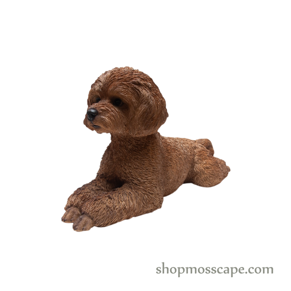 Lying Poodle
