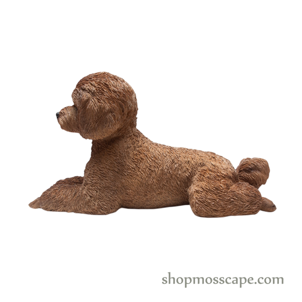 Lying Poodle