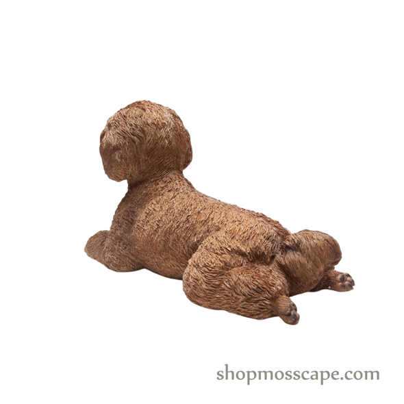 Lying Poodle