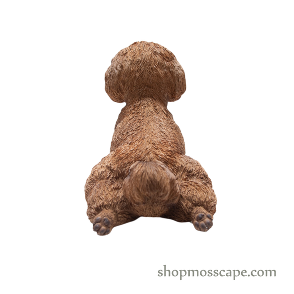 Lying Poodle