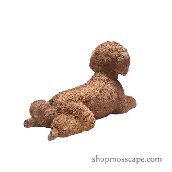 Lying Poodle