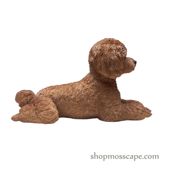 Lying Poodle