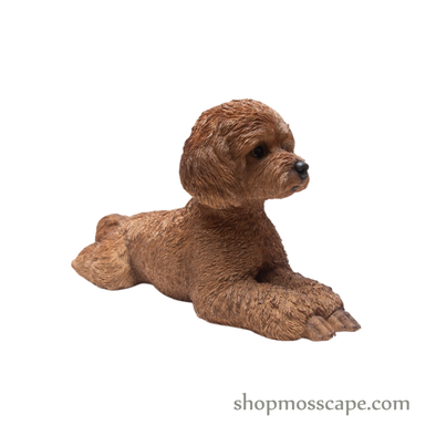 Lying Poodle