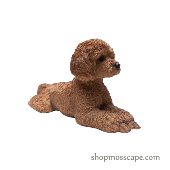 Lying Poodle