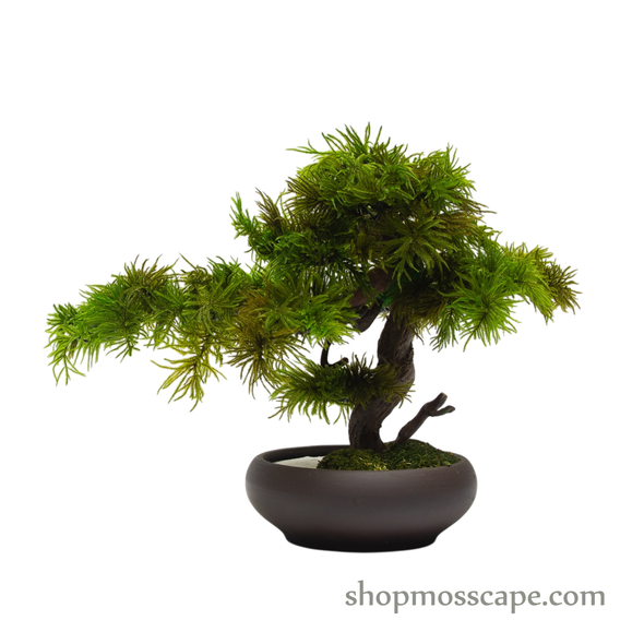 Preserved Tree Moss | PP (5802 w/ TM)