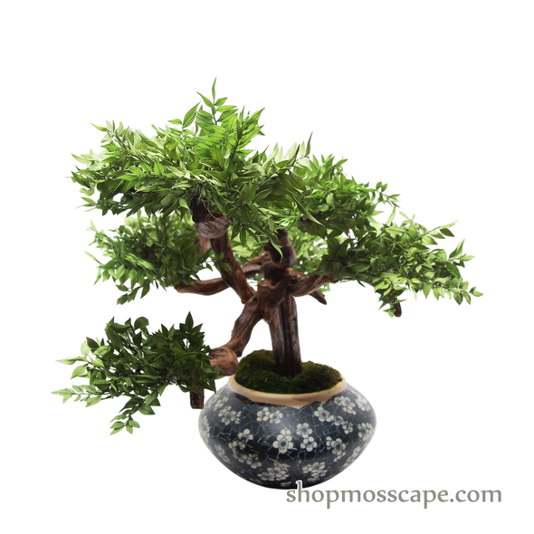 Preserved Ruscus | PP (7801 R)