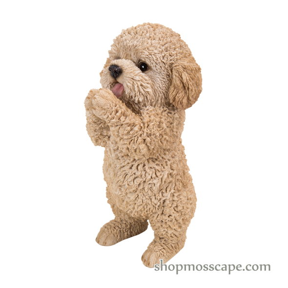 Praying Poodle Puppy