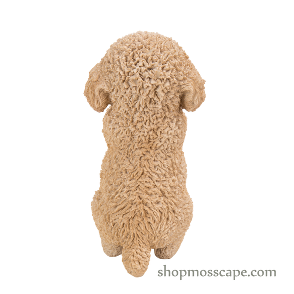 Praying Poodle Puppy