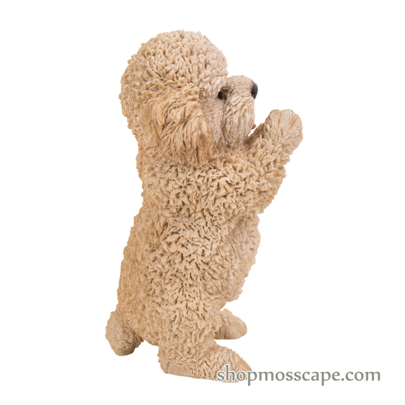 Praying Poodle Puppy