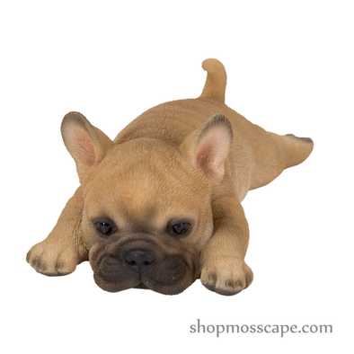 Prone French Bulldog Fridge Magnet