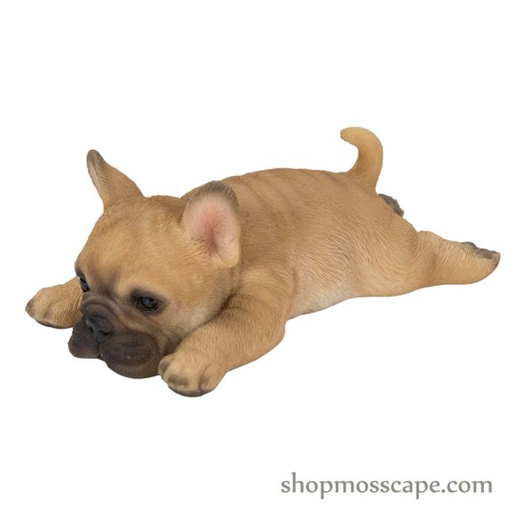 Prone French Bulldog Fridge Magnet