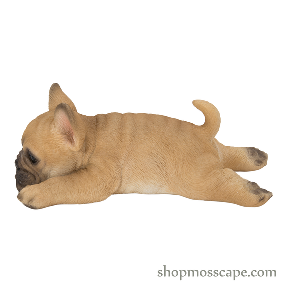 Prone French Bulldog Fridge Magnet