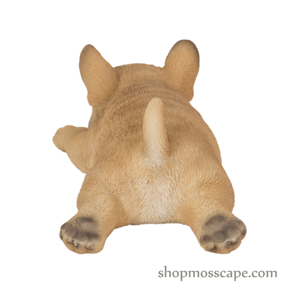 Prone French Bulldog Fridge Magnet