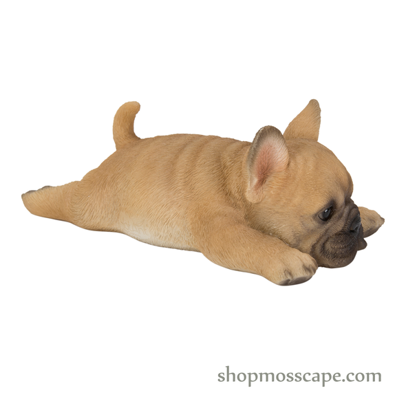 Prone French Bulldog Fridge Magnet