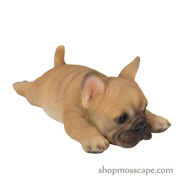 Prone French Bulldog Fridge Magnet