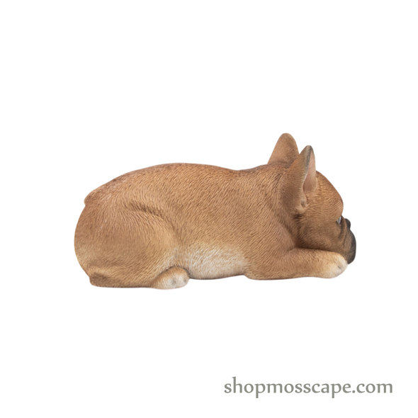 Prone French Bulldog Puppy