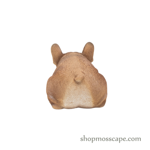 Prone French Bulldog Puppy