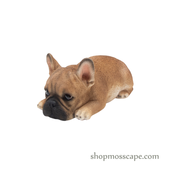 Prone French Bulldog Puppy