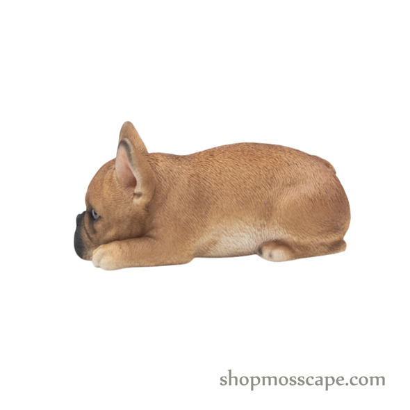 Prone French Bulldog Puppy
