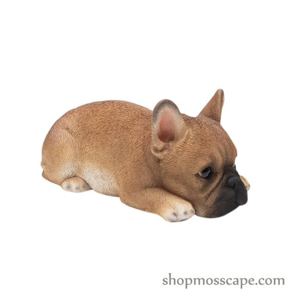 Prone French Bulldog Puppy