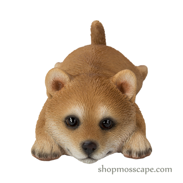 Prone Shiba Inu Fridge Magnet