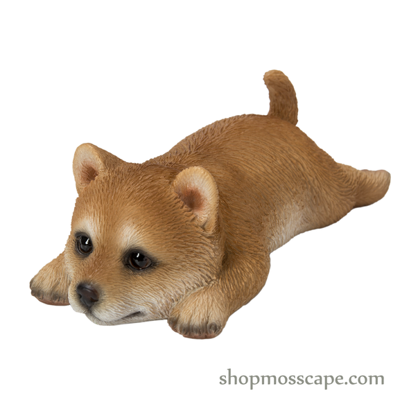 Prone Shiba Inu Fridge Magnet
