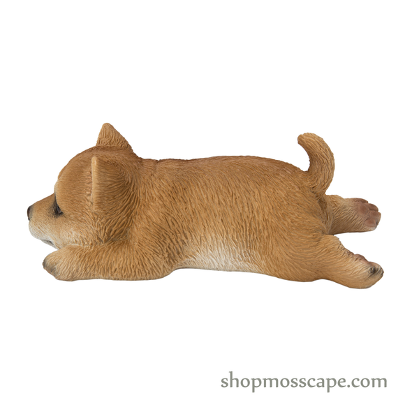 Prone Shiba Inu Fridge Magnet