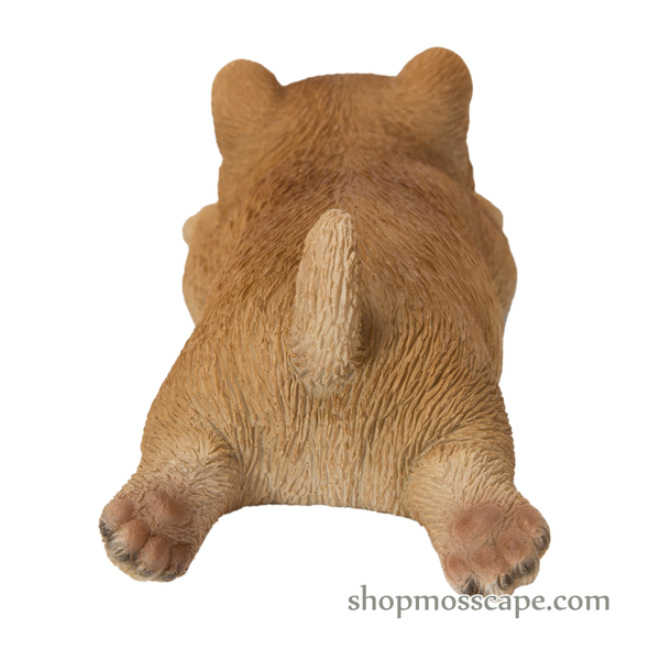 Prone Shiba Inu Fridge Magnet