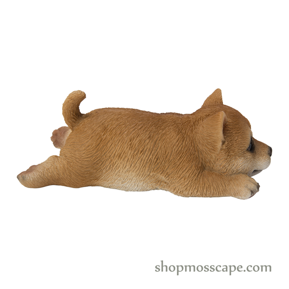 Prone Shiba Inu Fridge Magnet