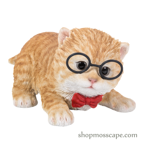 Proning Turkey cat with tie and metal glasses