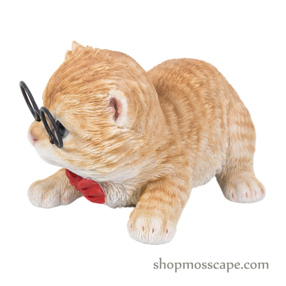 Proning Turkey cat with tie and metal glasses