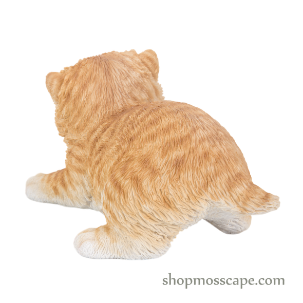 Proning Turkey cat with tie and metal glasses