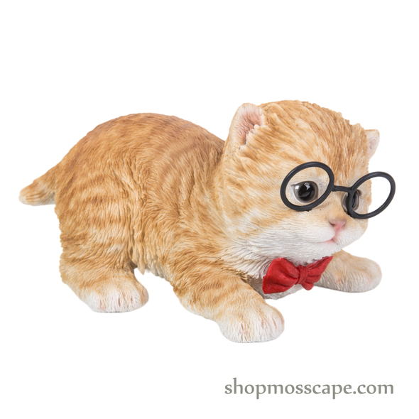 Proning Turkey cat with tie and metal glasses