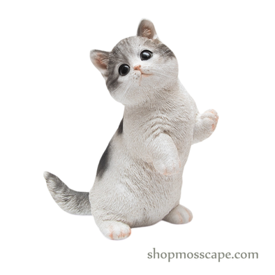 Raising Paw Munchkin Cat