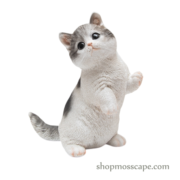 Raising Paw Munchkin Cat