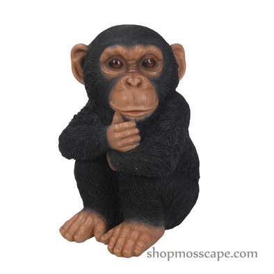 Sitting Baby Chimpanzee (XS)