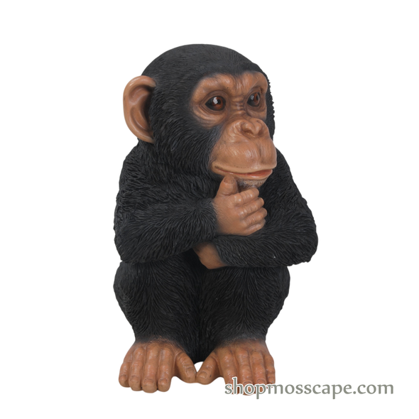 Sitting Baby Chimpanzee (XS)