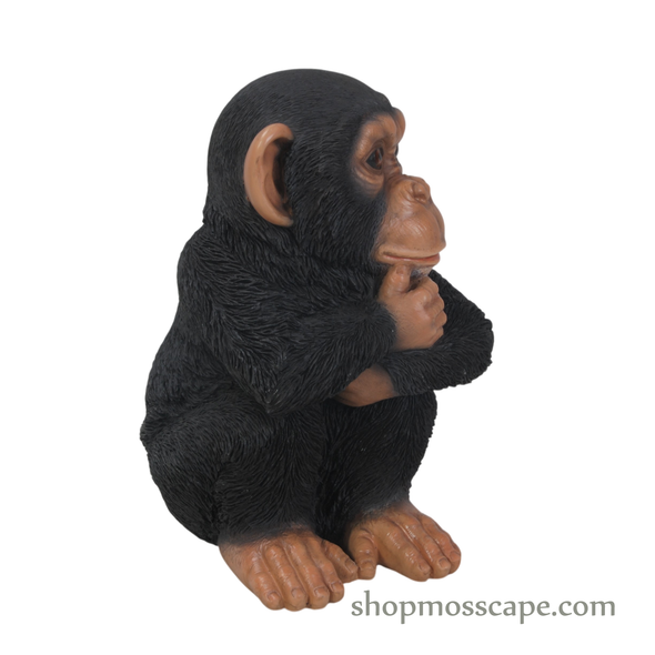 Sitting Baby Chimpanzee (XS)