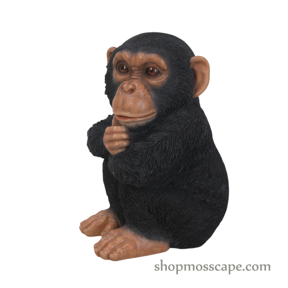 Sitting Baby Chimpanzee (XS)