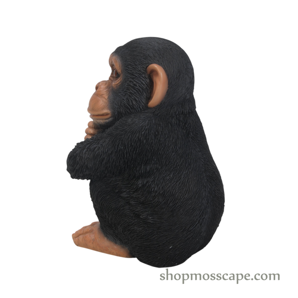 Sitting Baby Chimpanzee (XS)