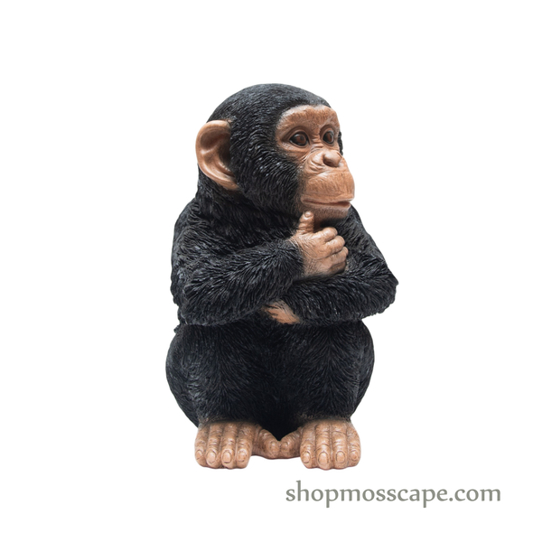 Sitting Baby Chimpanzee (Small)